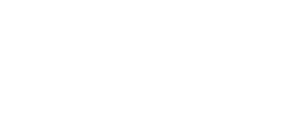 iamsandrafyi logo white